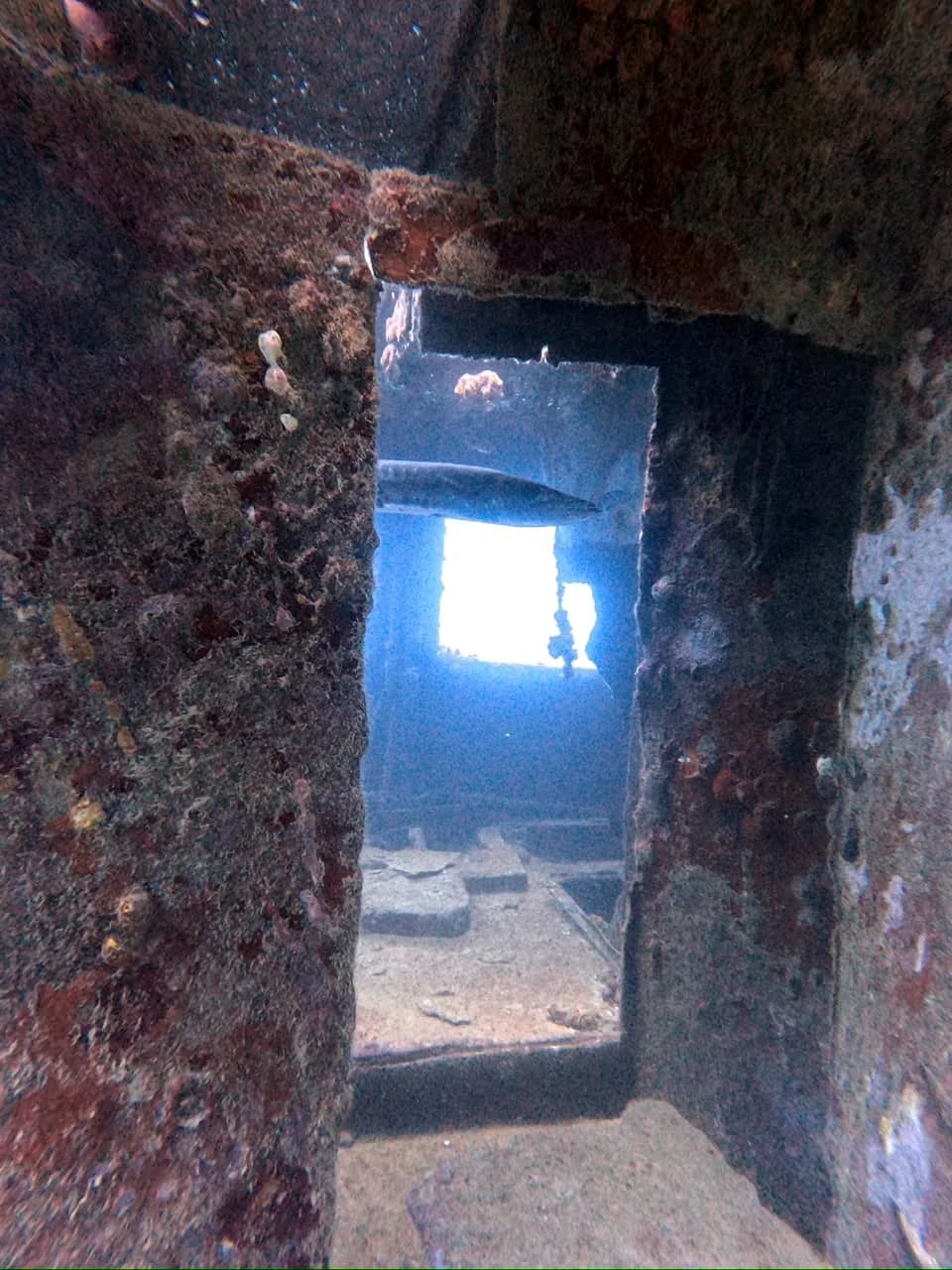 Looking through the wreck from the inside