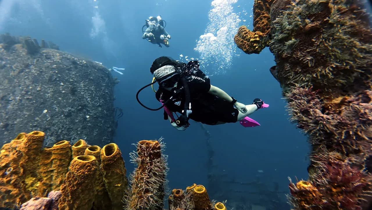 A diver along the encrusted deck