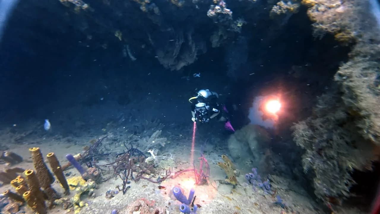 A torch beam inside the ship