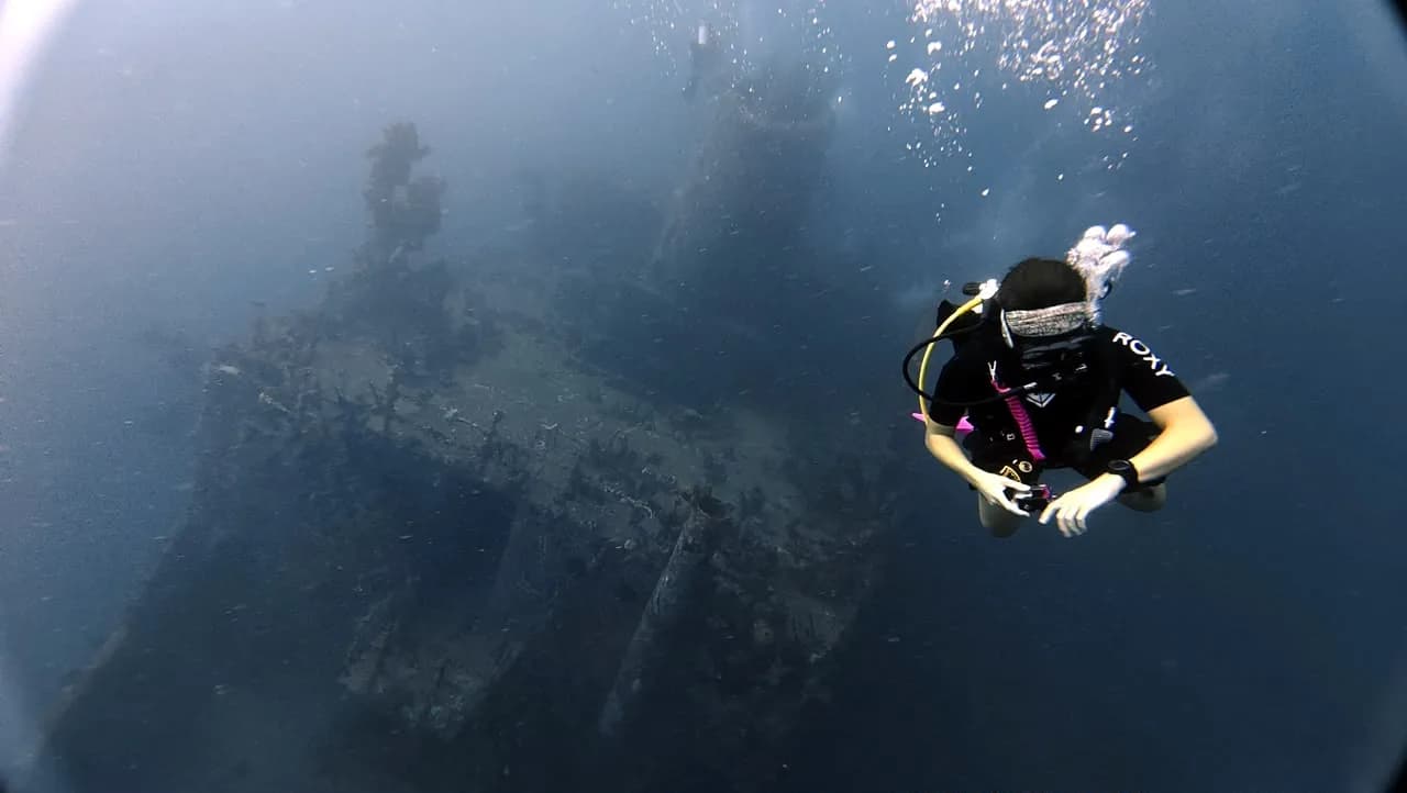 A diver descending onto the St. George