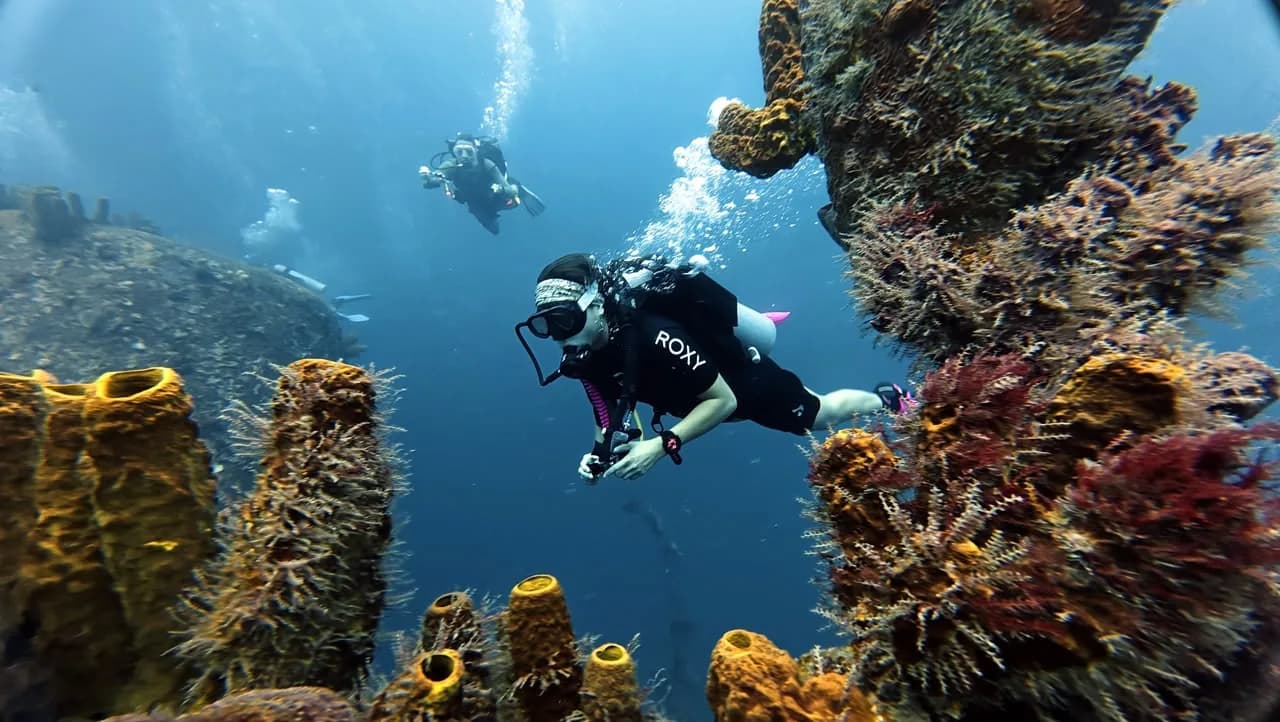 Coral and sponges covering the hull