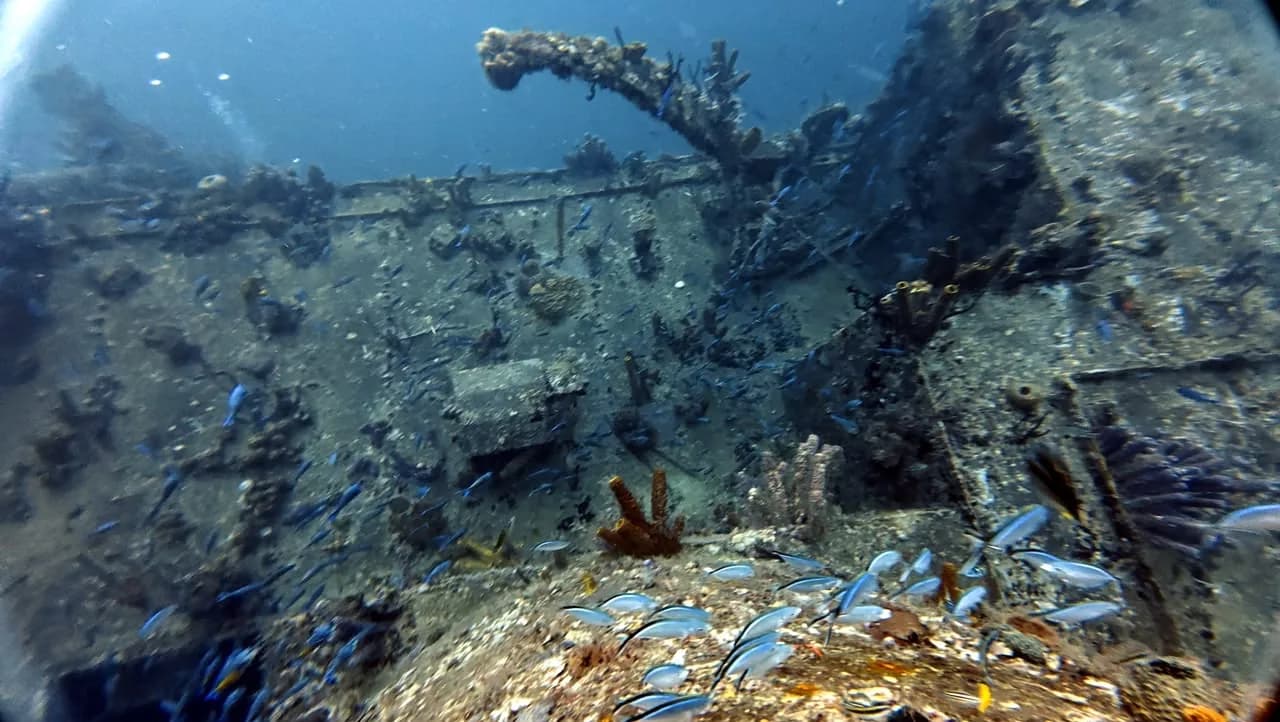 Structure of the ship, taken by the reef