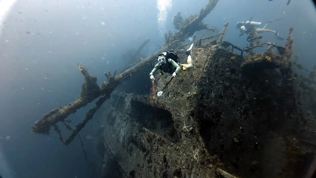 Fish sheltering in the wreck