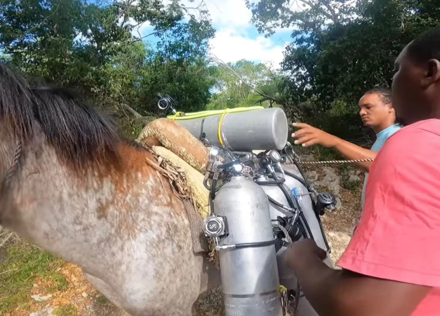 Local helpers loading the tanks onto the horse for El Toro