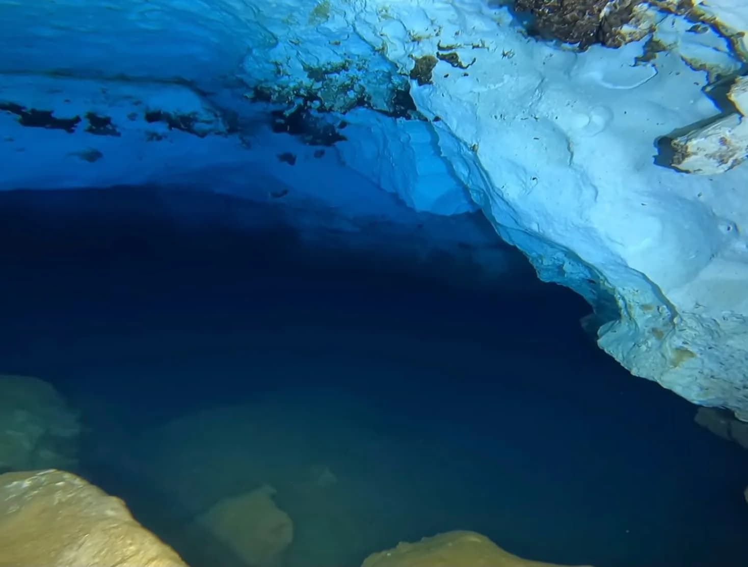 The halocline at El Toro, where fresh and salt water meet