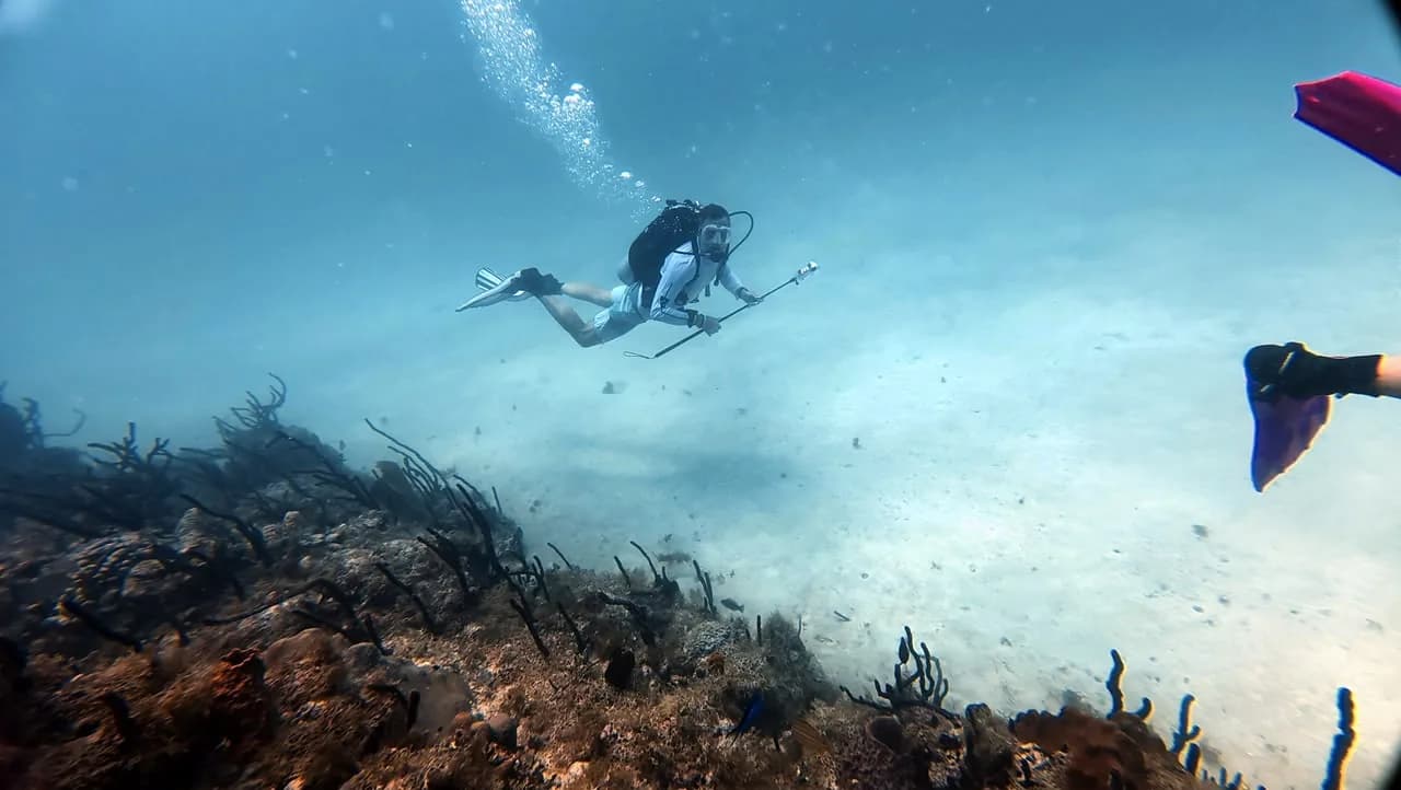 A diver over the sandy bottom